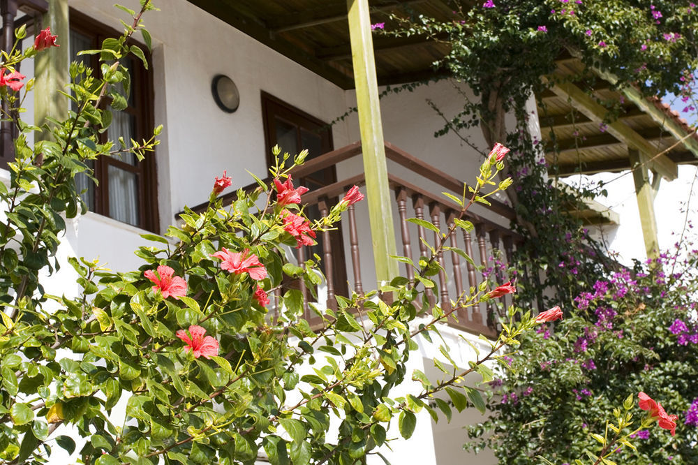 Delfi Hotel Spa & Wellness Center Bodrum Eksteriør billede